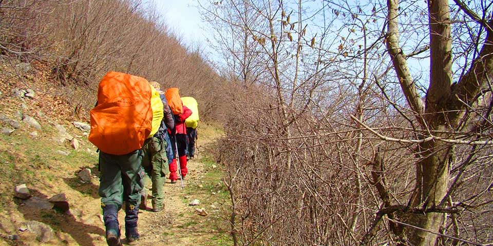 تور پینمایش جنگل ارسباران