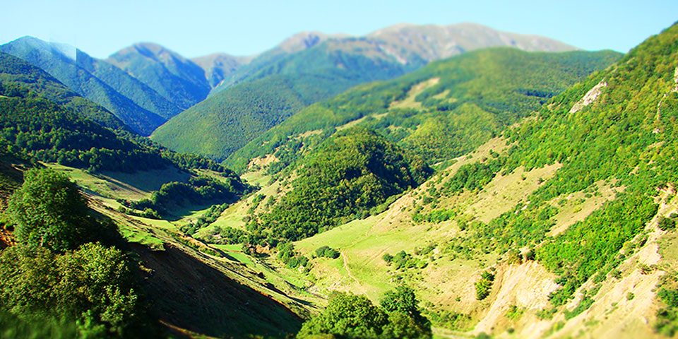 جنگل ارسباران