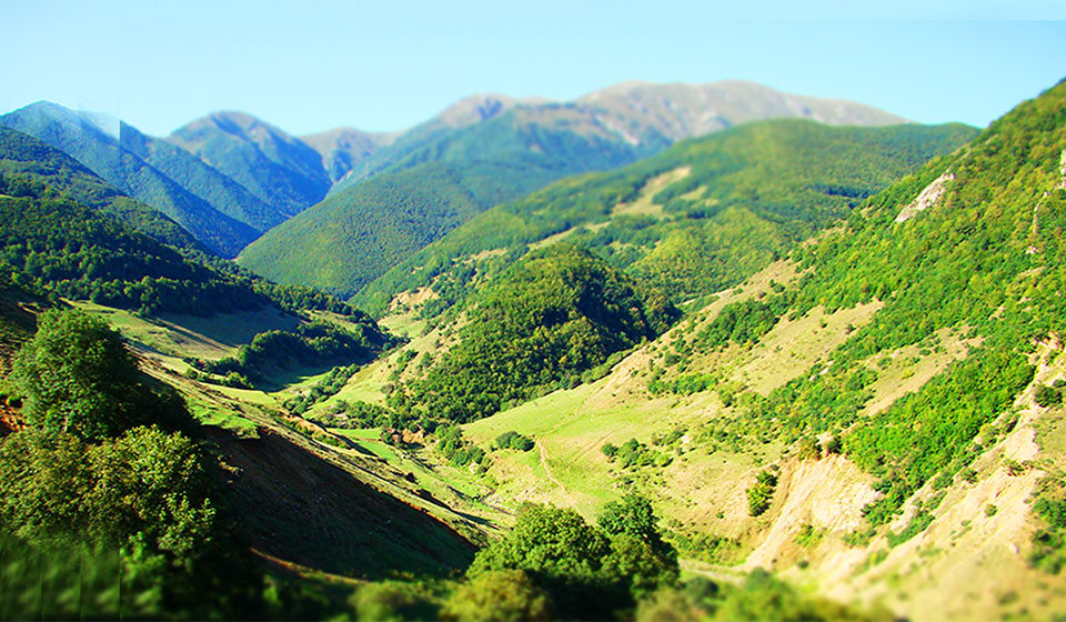 جنگل ارسباران